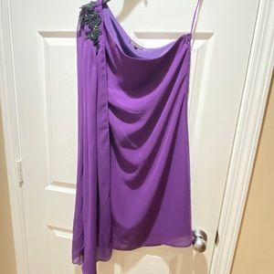 Body and Soul Signature Collection Sheer Dress.